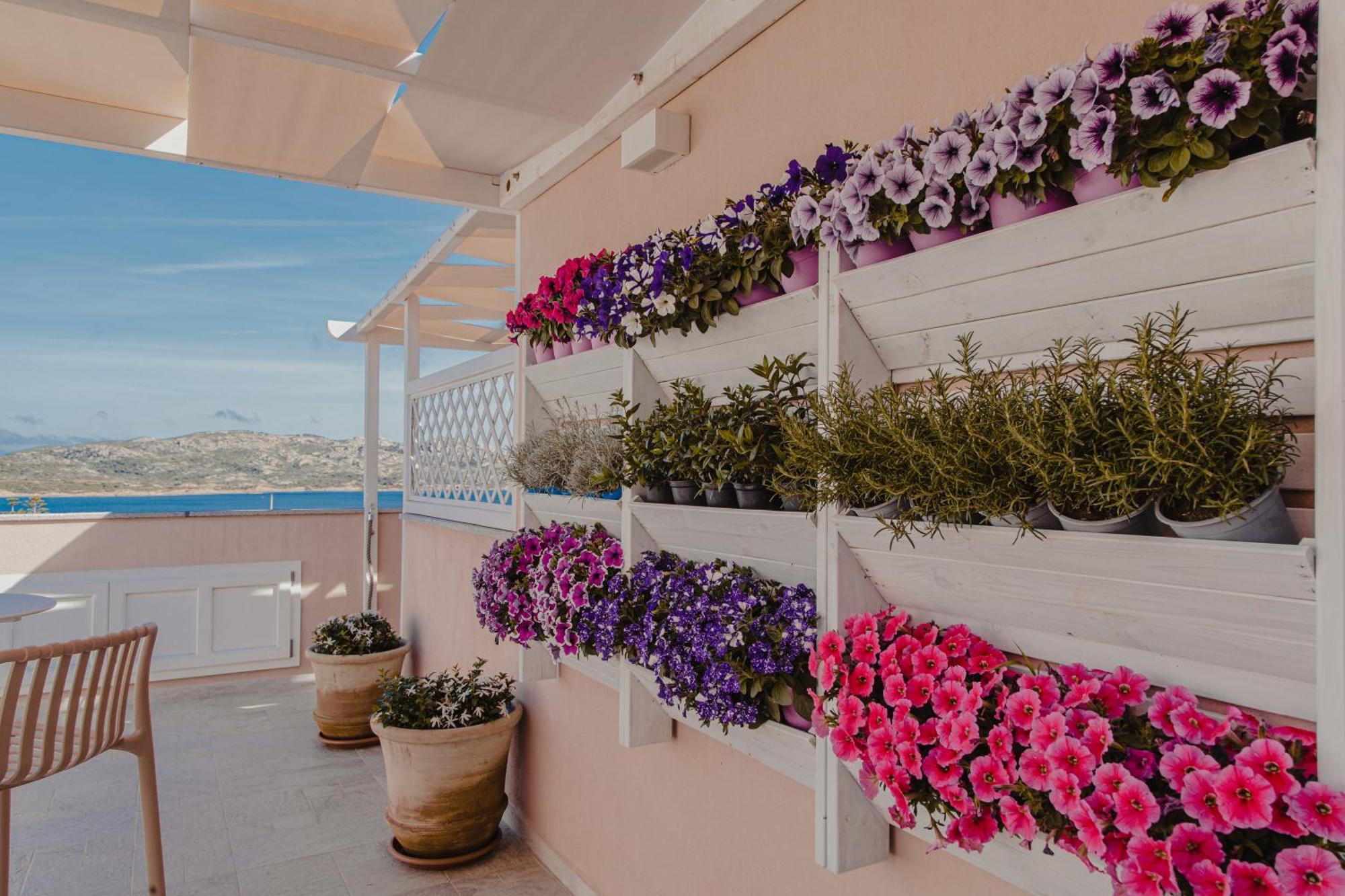 Controvento Bed and Breakfast La Maddalena  Eksteriør billede